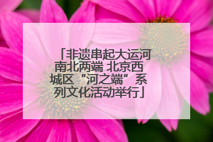 非遗串起大运河南北两端 北京西城区“河之端”系列文化活动举行