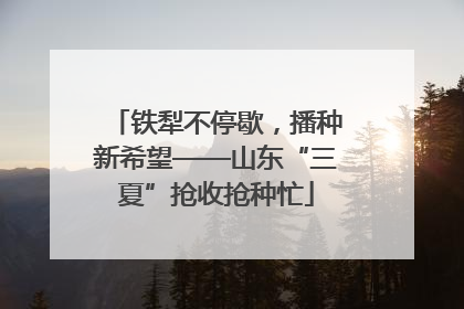 铁犁不停歇，播种新希望——山东“三夏”抢收抢种忙