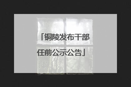铜陵发布干部任前公示公告