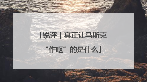 锐评｜真正让马斯克“作呕”的是什么