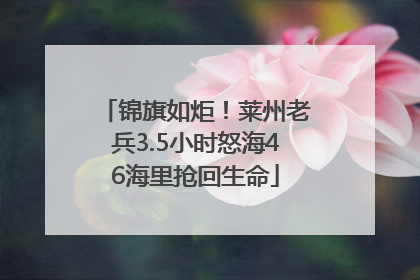 锦旗如炬！莱州老兵3.5小时怒海46海里抢回生命