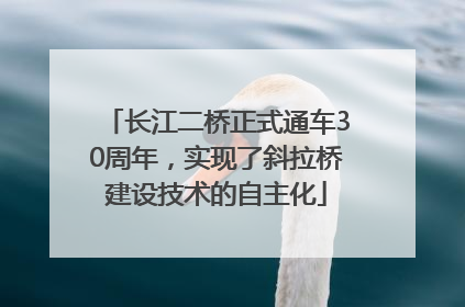 长江二桥正式通车30周年，实现了斜拉桥建设技术的自主化