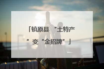 镇原县 “土特产”变“金招牌”