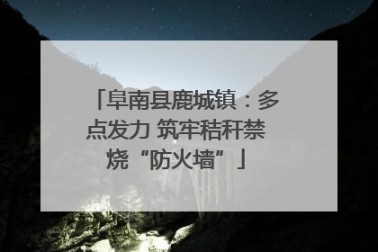 阜南县鹿城镇：多点发力 筑牢秸秆禁烧“防火墙”