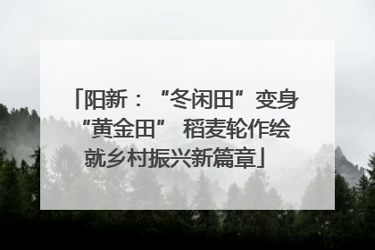 阳新：“冬闲田”变身“黄金田” 稻麦轮作绘就乡村振兴新篇章