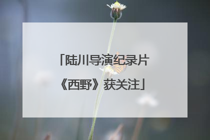 陆川导演纪录片《西野》获关注