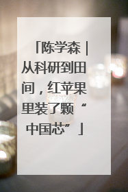 陈学森｜从科研到田间，红苹果里装了颗“中国芯”