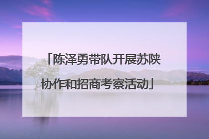 陈泽勇带队开展苏陕协作和招商考察活动