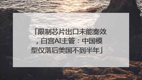 限制芯片出口未能奏效，白宫AI主管：中国模型仅落后美国不到半年