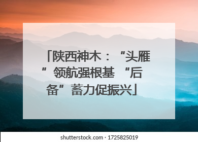 陕西神木：“头雁”领航强根基 “后备”蓄力促振兴