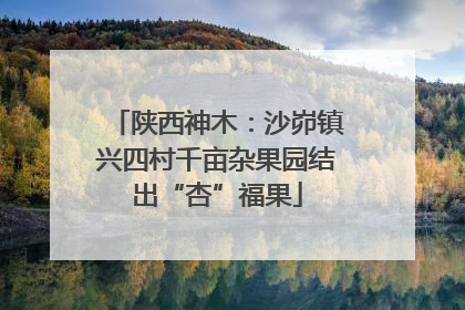 陕西神木：沙峁镇兴四村千亩杂果园结出“杏”福果