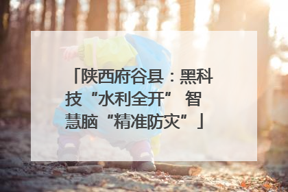 陕西府谷县：黑科技“水利全开” 智慧脑“精准防灾”
