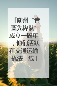 随州“青蓝先锋队”成立一周年，他们活跃在交通运输执法一线