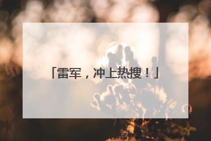 雷军，冲上热搜！