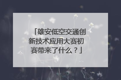 雄安低空交通创新技术应用大赛初赛带来了什么？