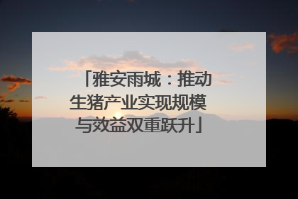 雅安雨城：推动生猪产业实现规模与效益双重跃升