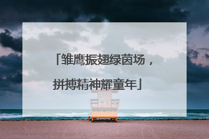 雏鹰振翅绿茵场，拼搏精神耀童年
