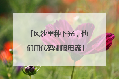 风沙里种下光，他们用代码驯服电流