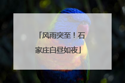 风雨突至！石家庄白昼如夜