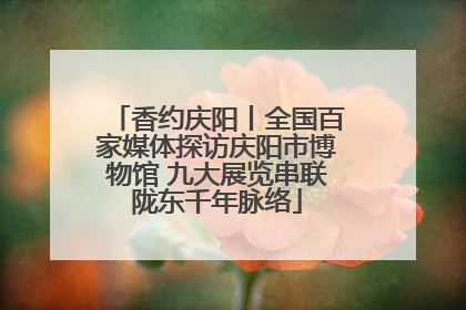 香约庆阳丨全国百家媒体探访庆阳市博物馆 九大展览串联陇东千年脉络
