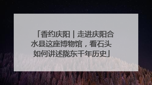 香约庆阳｜走进庆阳合水县这座博物馆，看石头如何讲述陇东千年历史