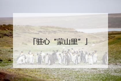 驻心“蒙山里”