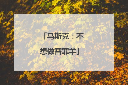 马斯克：不想做替罪羊