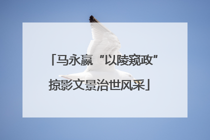马永嬴“以陵窥政” 掠影文景治世风采