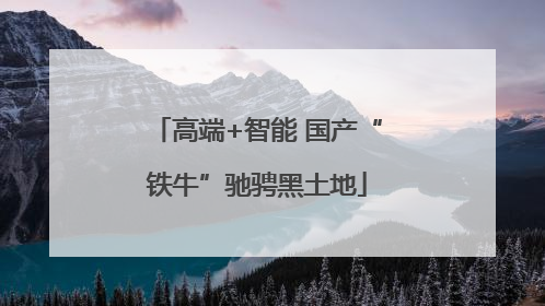 高端+智能 国产“铁牛”驰骋黑土地