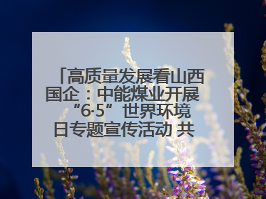 高质量发展看山西国企：中能煤业开展“6·5”世界环境日专题宣传活动 共筑绿色矿山
