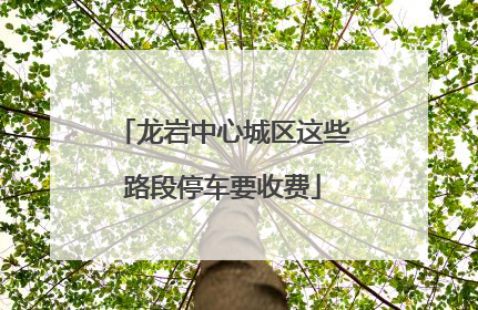 龙岩中心城区这些路段停车要收费