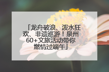 龙舟破浪、泼水狂欢、非遗巡游！泉州60+文旅活动带你燃情过端午