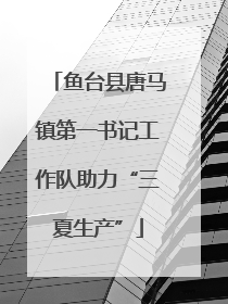 鱼台县唐马镇第一书记工作队助力“三夏生产”