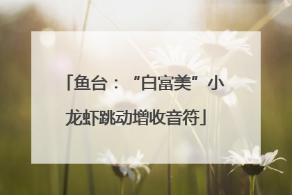 鱼台：“白富美”小龙虾跳动增收音符