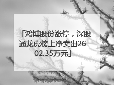 鸿博股份涨停，深股通龙虎榜上净卖出2602.35万元