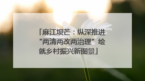 麻江坝芒：纵深推进“两清两改两治理”绘就乡村振兴新图景