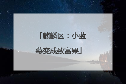 麒麟区：小蓝莓变成致富果