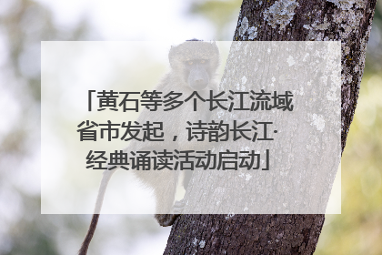 黄石等多个长江流域省市发起，诗韵长江·经典诵读活动启动
