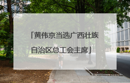 黄伟京当选广西壮族自治区总工会主席