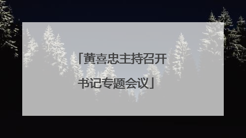 黄喜忠主持召开书记专题会议