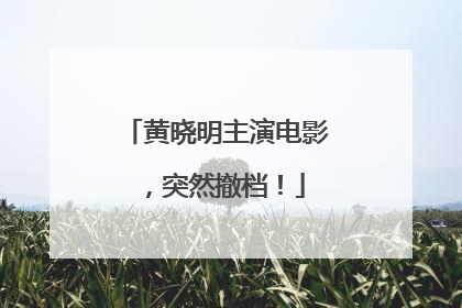 黄晓明主演电影，突然撤档！
