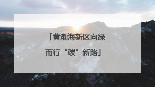 黄渤海新区向绿而行“碳”新路