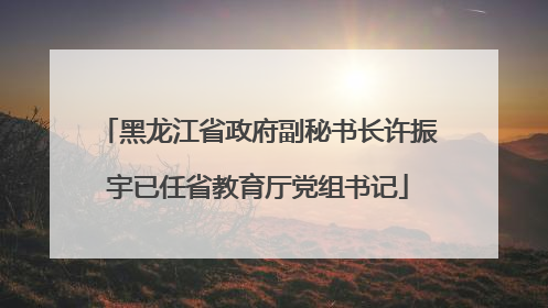 黑龙江省政府副秘书长许振宇已任省教育厅党组书记