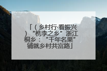 （乡村行·看振兴）“槜李之乡”浙江桐乡：“千年名果”铺就乡村共富路