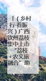 （乡村行·看振兴）广西钦州荔枝集中上市 “荔枝+农文旅融合”助农增收