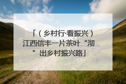 （乡村行·看振兴）江西信丰一片茶叶“沏”出乡村振兴路