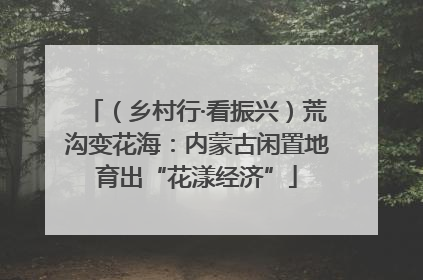 （乡村行·看振兴）荒沟变花海：内蒙古闲置地育出“花漾经济”