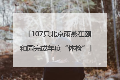 107只北京雨燕在颐和园完成年度“体检”