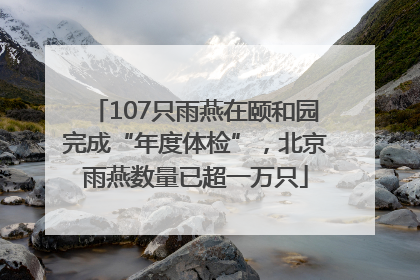 107只雨燕在颐和园完成“年度体检”，北京雨燕数量已超一万只