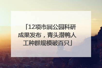 12项市属公园科研成果发布，青头潜鸭人工种群规模破百只